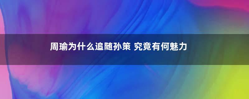 周瑜为什么追随孙策 究竟有何魅力